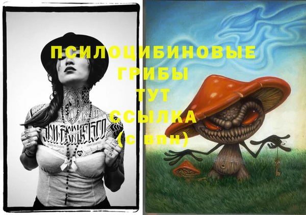 спиды Иннополис